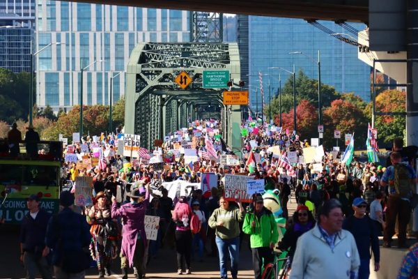 The Role of Protest